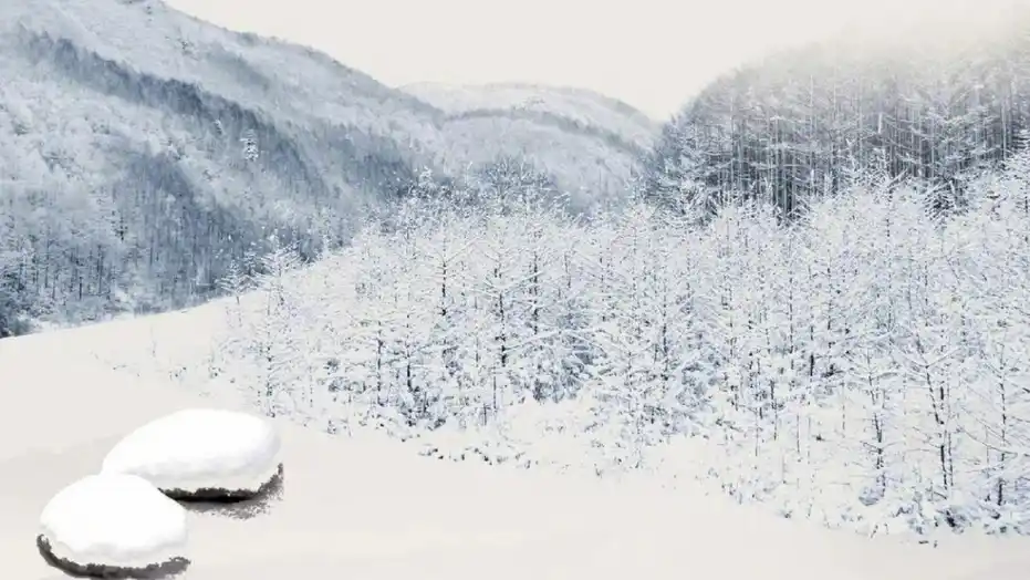 冬至时节：为何不能熬夜的重要性